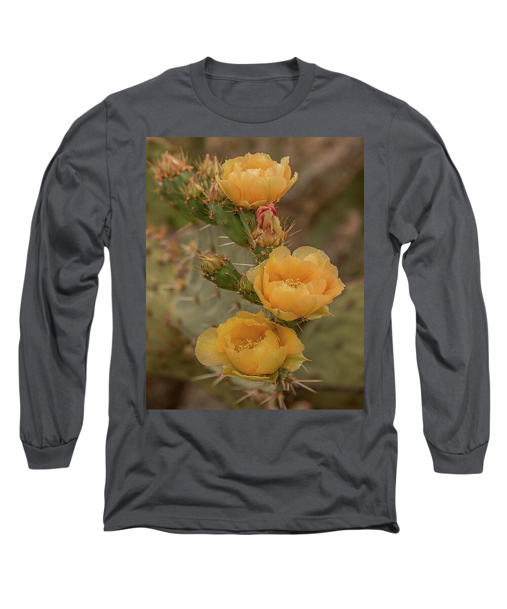 Cactus Long Sleeve T-Shirt featuring the photograph Prickly Pear Blossom Trio by Teresa Wilson