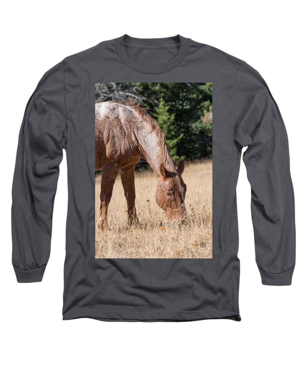 2015 Long Sleeve T-Shirt featuring the photograph Pryor Mountain Wild Mustang by Bert Peake