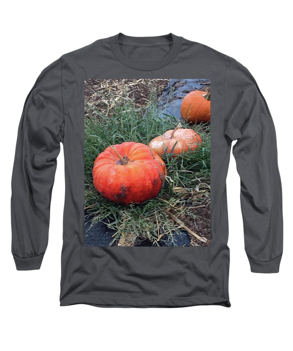 Pumpkins Long Sleeve T-Shirt featuring the photograph Pumpkins in a Row by Portraits By NC