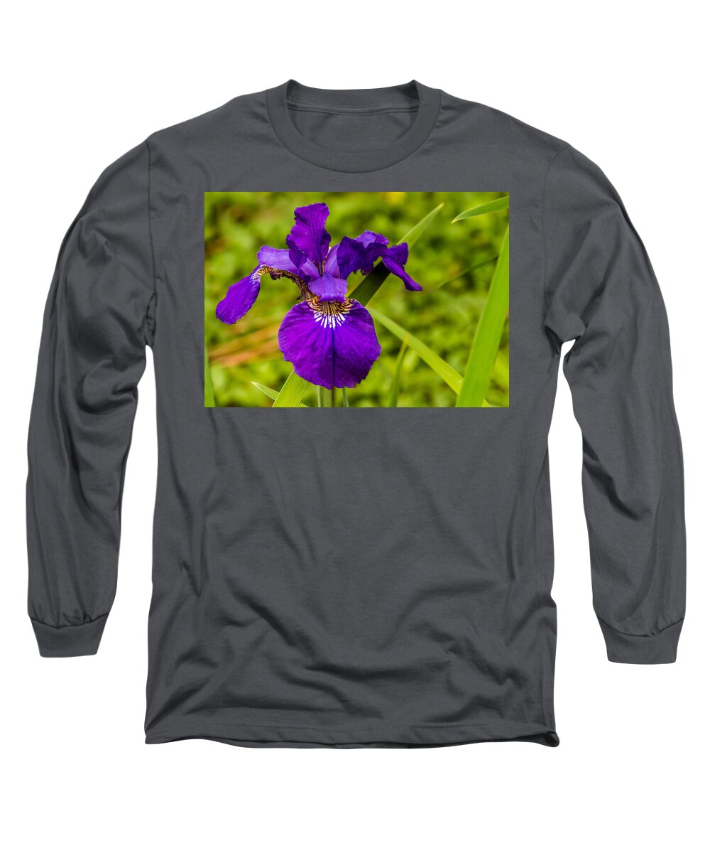 Purple Long Sleeve T-Shirt featuring the photograph Purple Beauty by Ed Clark