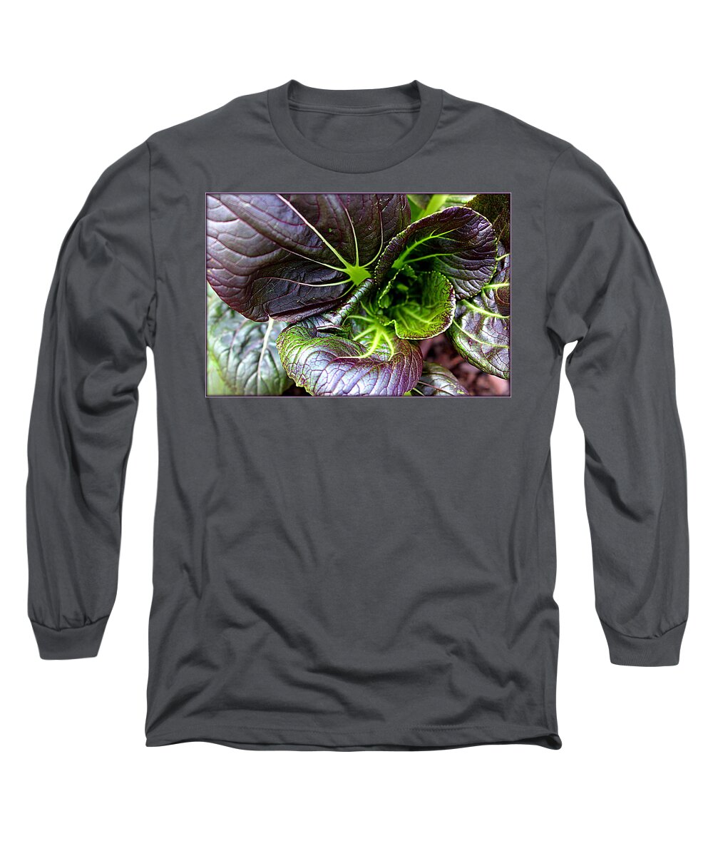 Vegetables Long Sleeve T-Shirt featuring the photograph Purple Cabbage by Mindy Newman