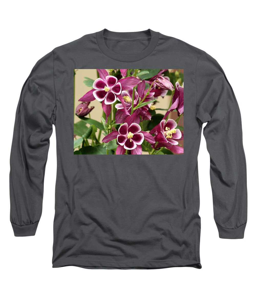 Nature Long Sleeve T-Shirt featuring the photograph Purple Columbine Flowers by Sheila Brown