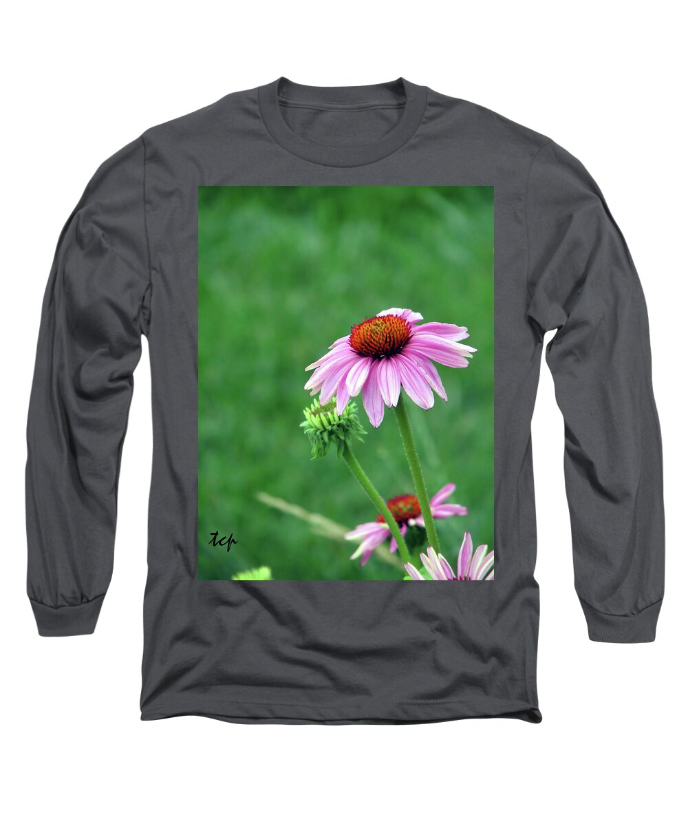 Purple Long Sleeve T-Shirt featuring the photograph Purple Cone by Traci Cottingham