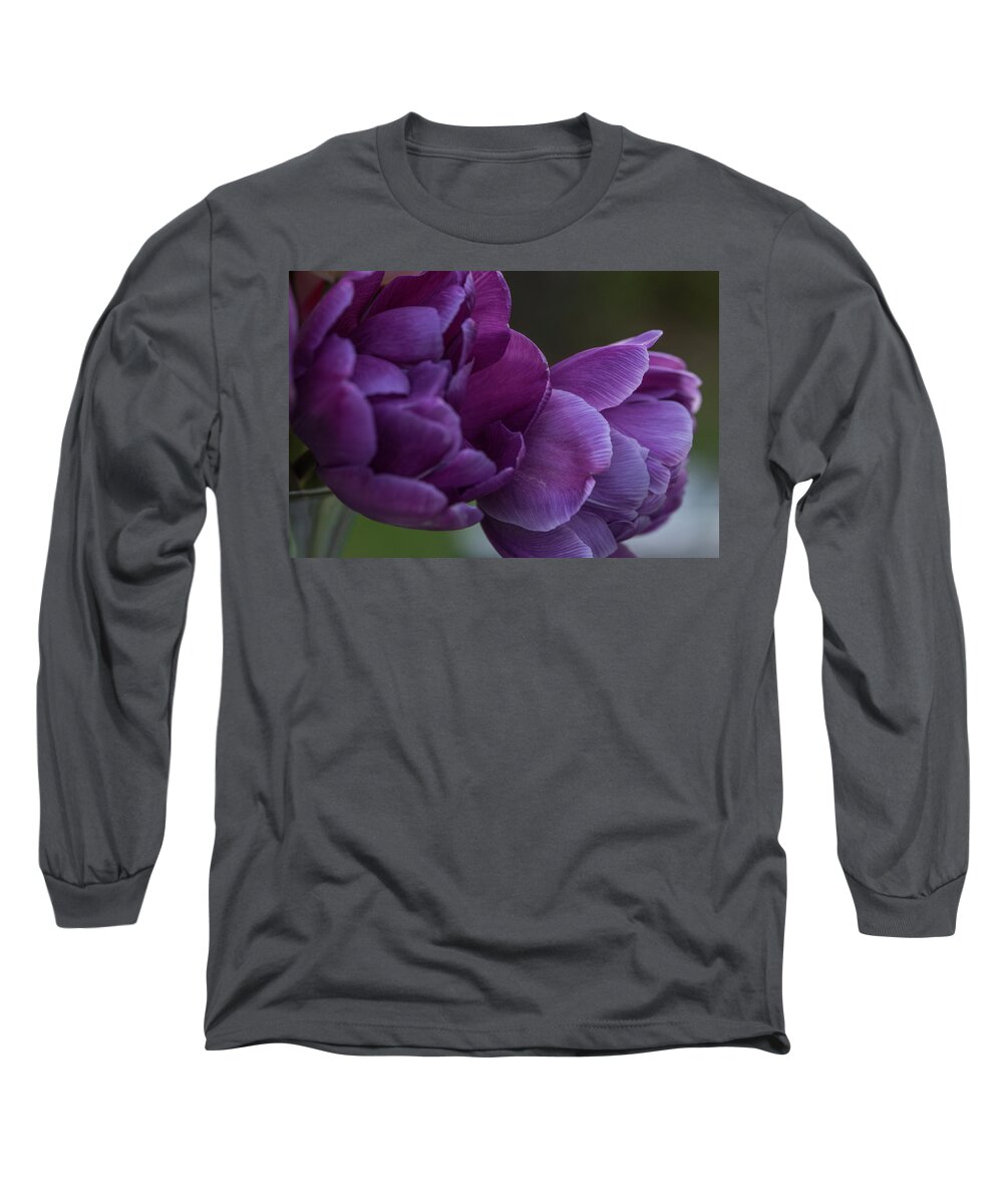 Arrangements Long Sleeve T-Shirt featuring the photograph Purple Haze... by Ron Dubreuil