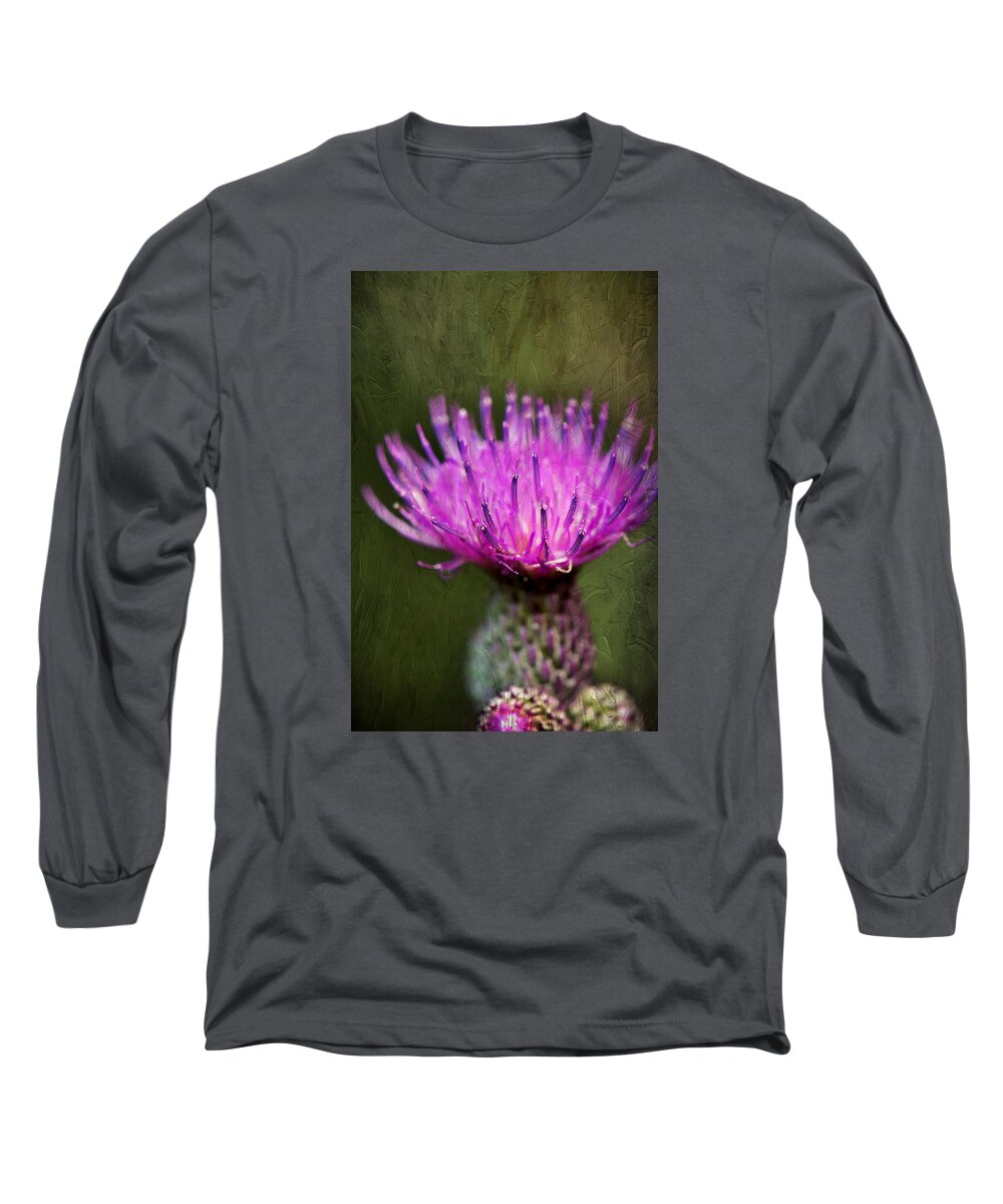 Purple Thistle Plant Print Long Sleeve T-Shirt featuring the photograph Purple Thistle Plant Print by Gwen Gibson