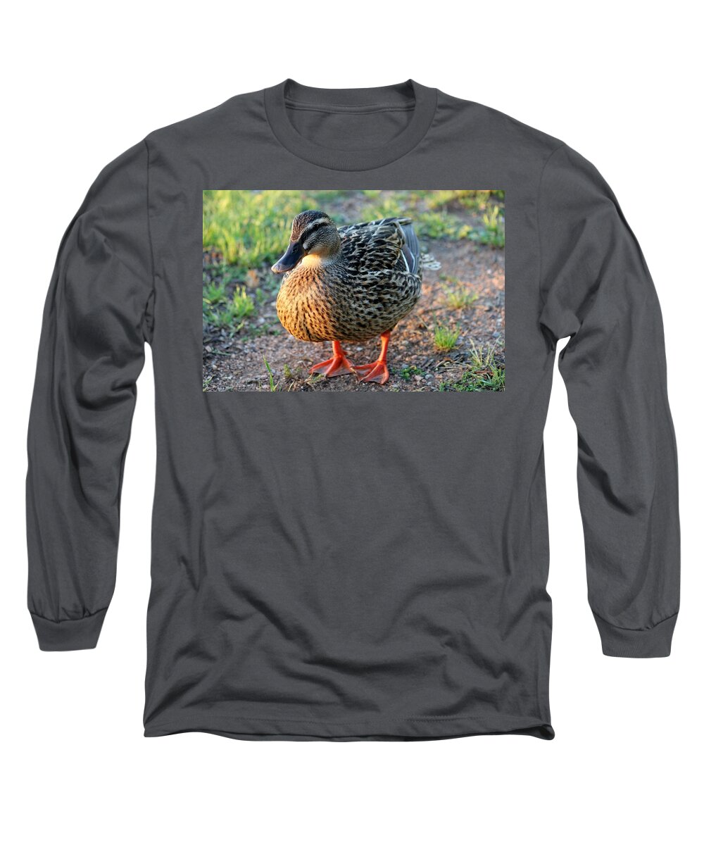Duck Long Sleeve T-Shirt featuring the photograph Quack by Christy Pooschke