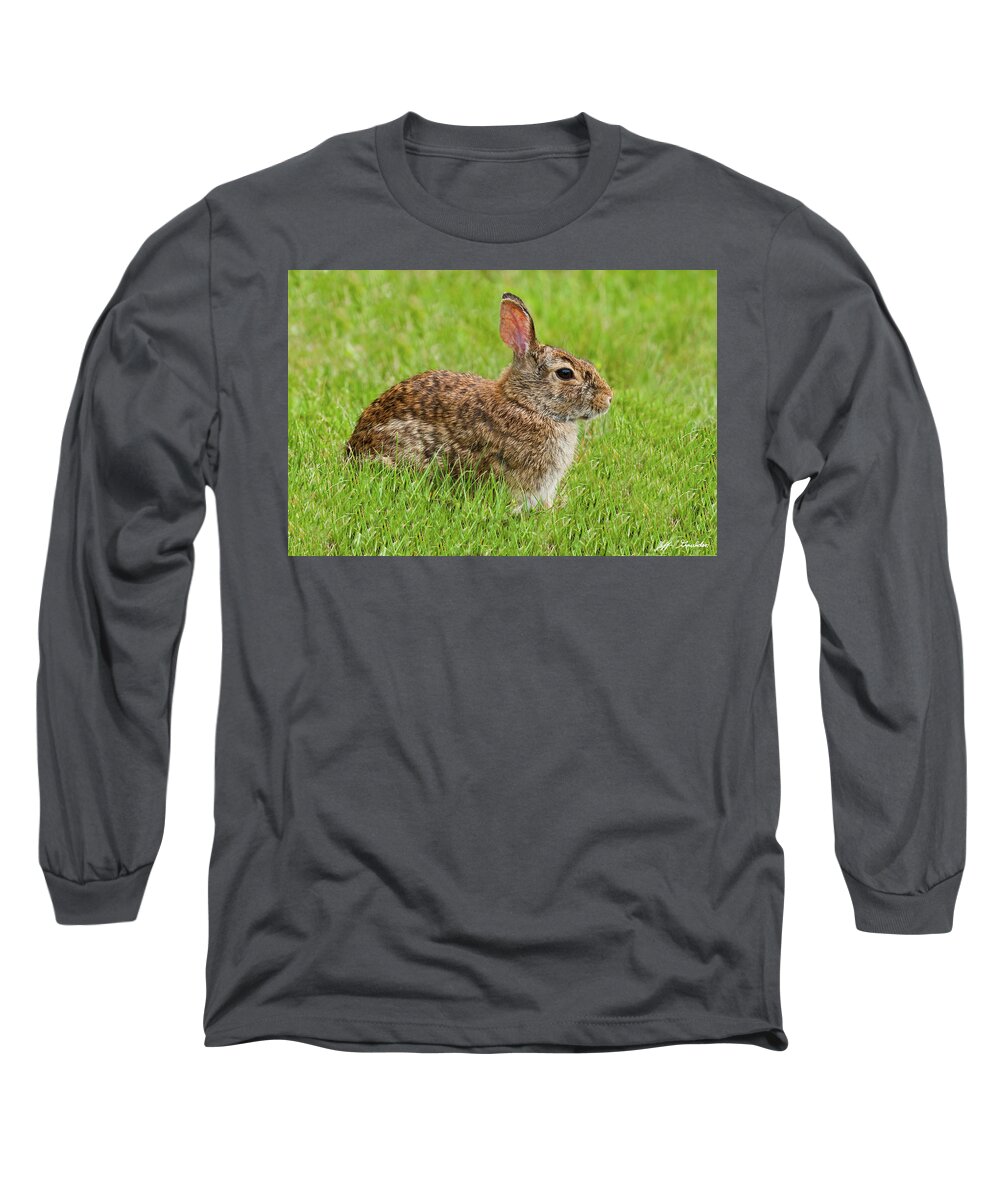 Animal Long Sleeve T-Shirt featuring the photograph Rabbit in a Grassy Meadow by Jeff Goulden
