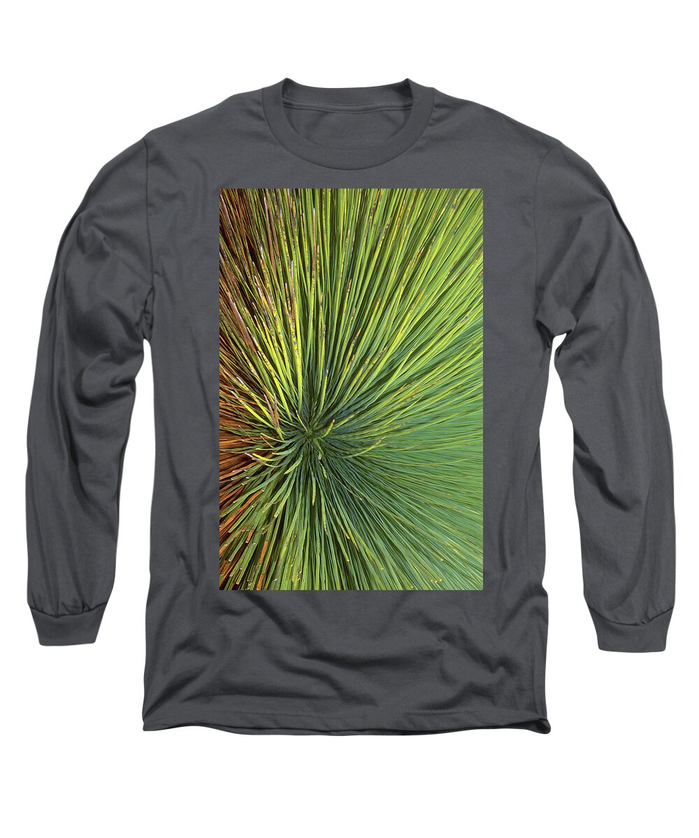 Radiate Long Sleeve T-Shirt featuring the photograph Radiating by Ted Keller