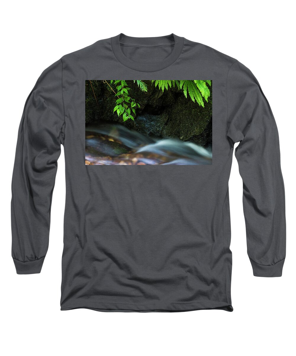 Cannon Beach Long Sleeve T-Shirt featuring the photograph Rain Forest Stream by Robert Potts