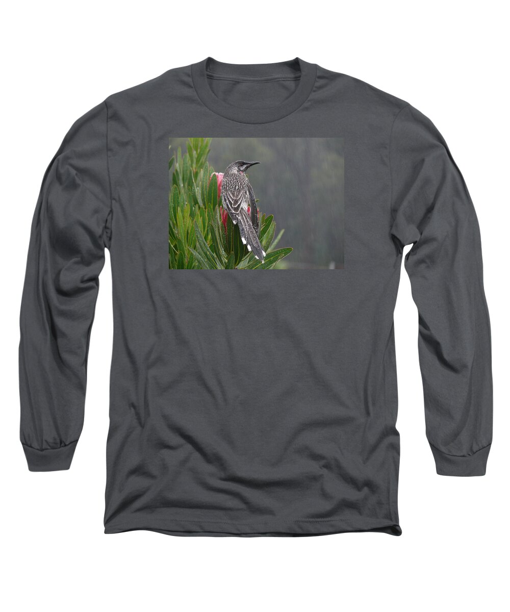 Rain Bird Long Sleeve T-Shirt featuring the photograph Rainbird by Evelyn Tambour
