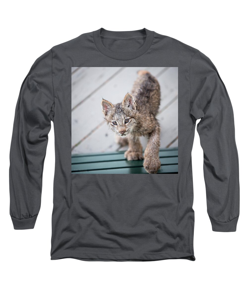 Lynx Long Sleeve T-Shirt featuring the photograph Does click mean edible by Tim Newton