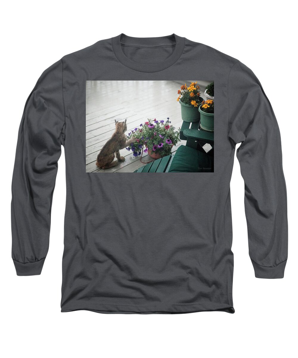 Lynx Long Sleeve T-Shirt featuring the photograph Swat the Petunias by Tim Newton