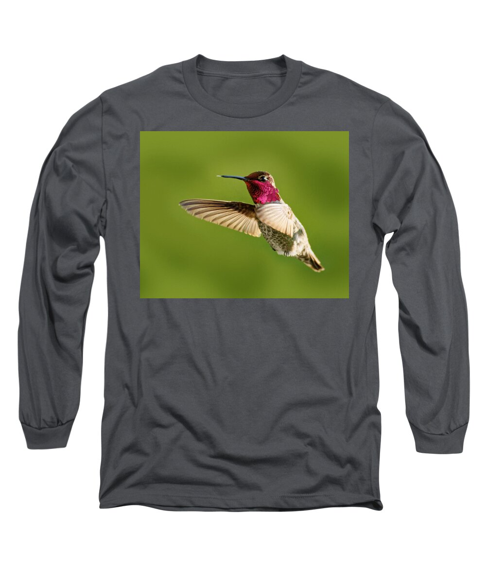 Raspberry Long Sleeve T-Shirt featuring the photograph Raspberry -- Anna's Hummingbird in Templeton, California by Darin Volpe