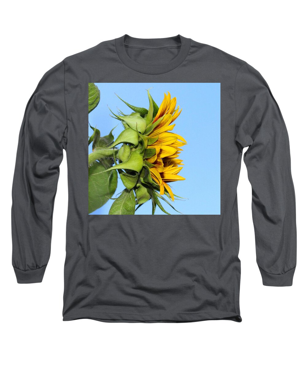 Sunflower Long Sleeve T-Shirt featuring the photograph Reaching Sunflower by Brian Eberly