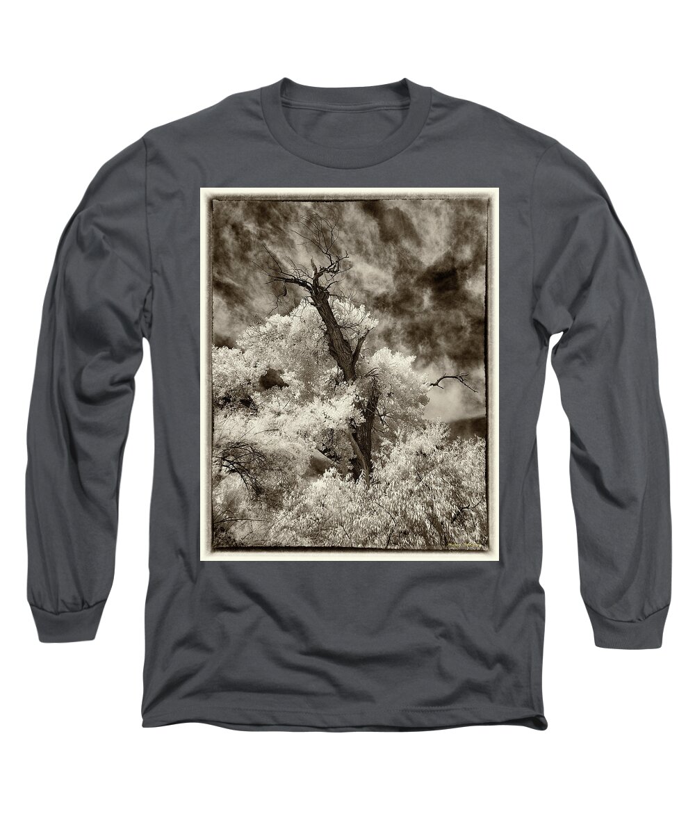 New Mexico Long Sleeve T-Shirt featuring the photograph Reaching for the Sky by Michael McKenney
