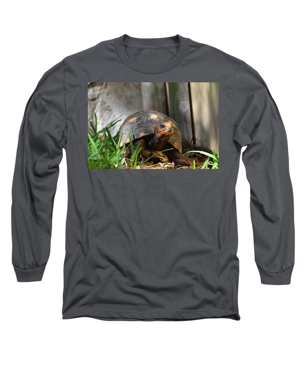 Red Long Sleeve T-Shirt featuring the photograph Red Footed Tortoise by Artful Imagery