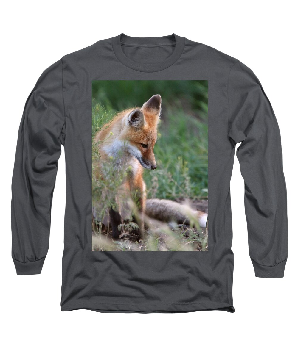 Red Fox Long Sleeve T-Shirt featuring the digital art Red Fox pup outside its den by Mark Duffy