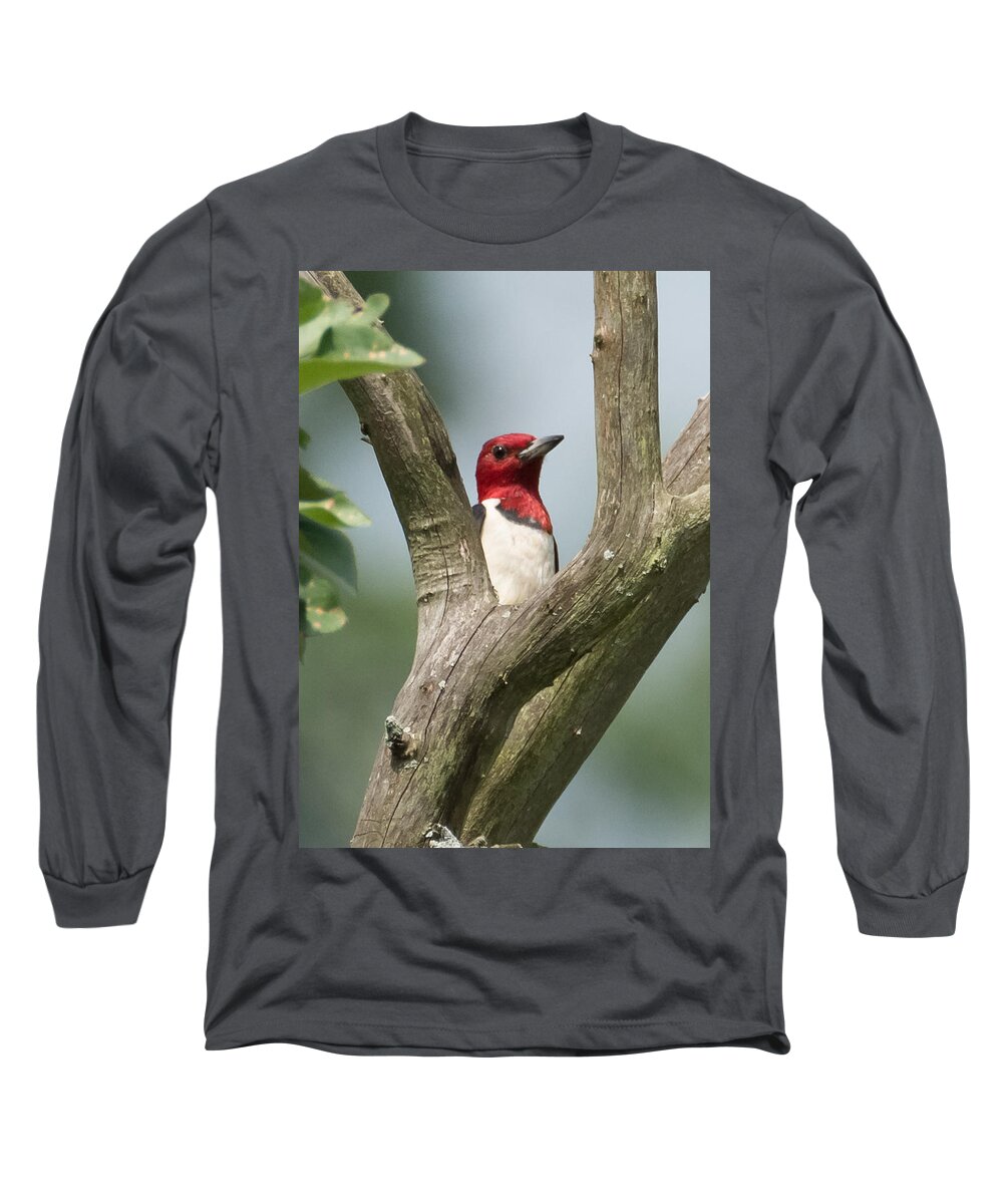 Red-headed Woodpecker Long Sleeve T-Shirt featuring the photograph Red-Headed Woodpecker by Holden The Moment