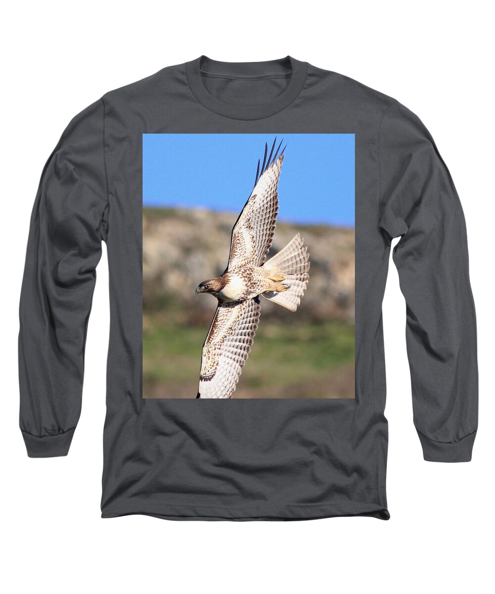 Red Tail Hawk Long Sleeve T-Shirt featuring the photograph Red Tailed Hawk - 20100101-8 by Wingsdomain Art and Photography