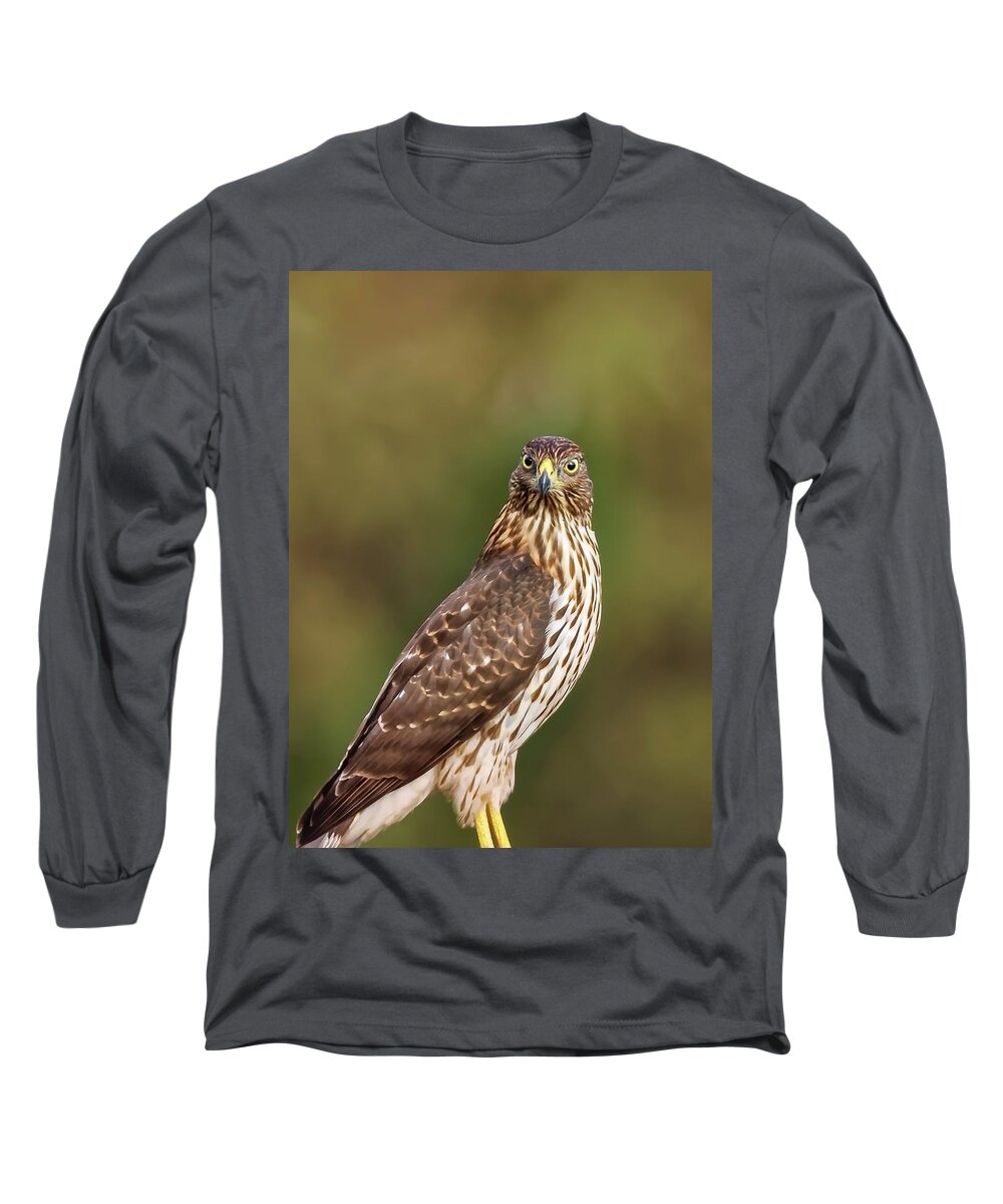 Amelia Island Long Sleeve T-Shirt featuring the photograph Red-Tailed Hawk by Peter Lakomy