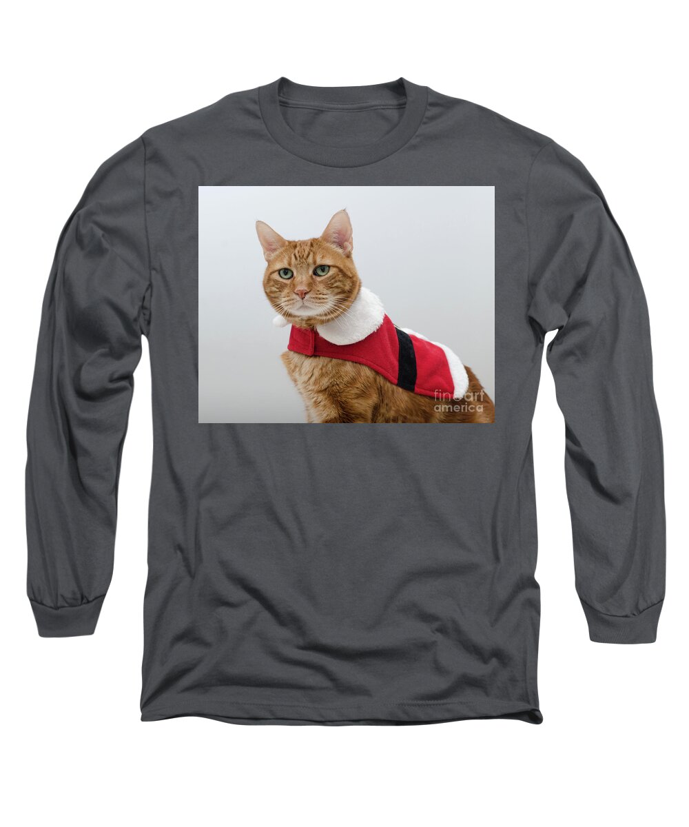 Red Tubby Cat Photograph Long Sleeve T-Shirt featuring the photograph Red Tubby Cat Tabasco Santa Clause by Irina ArchAngelSkaya