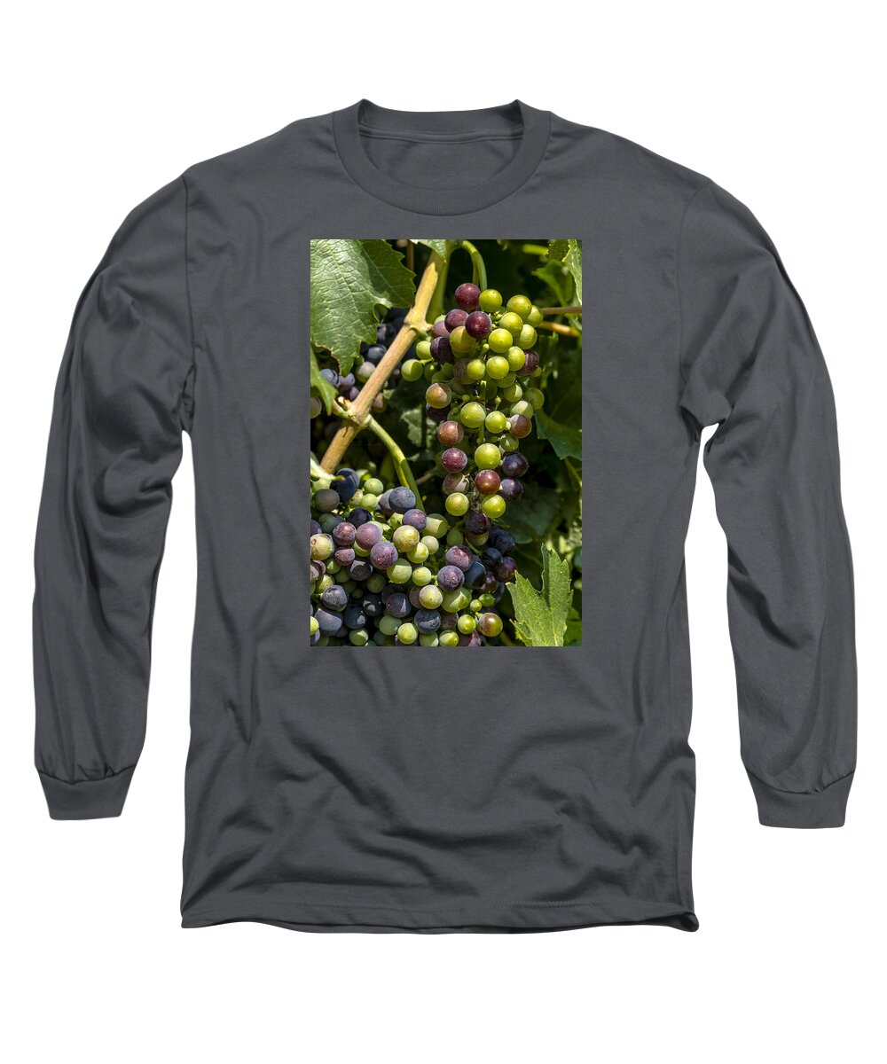 Colorado Vineyard Long Sleeve T-Shirt featuring the photograph Red Wine Grape Colors in the Sun by Teri Virbickis
