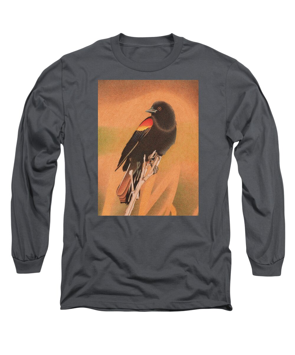 Art Long Sleeve T-Shirt featuring the drawing Red-winged Blackbird 3 by Dan Miller