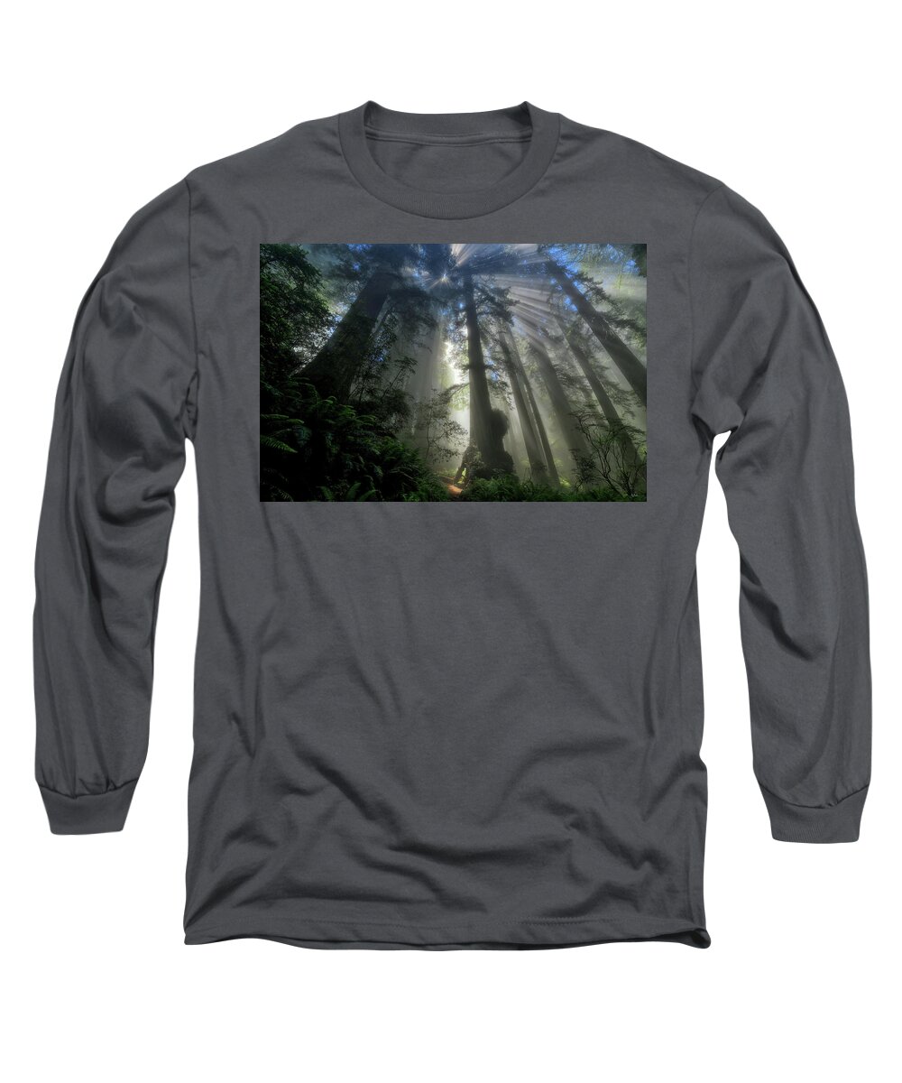 Redwood National Park Long Sleeve T-Shirt featuring the photograph Redwood God Rays by Greg Norrell