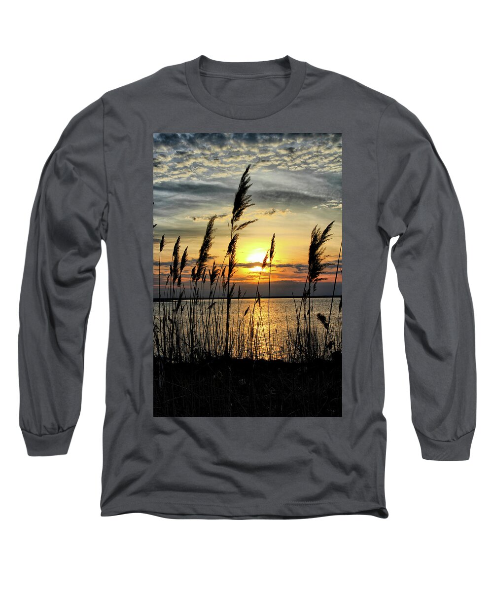 Sunset Long Sleeve T-Shirt featuring the photograph Reeds by John Loreaux