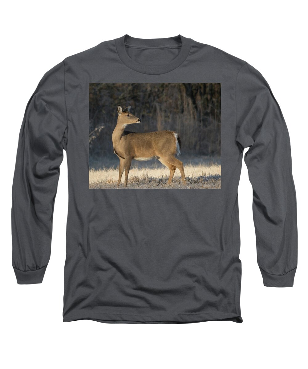 Wildlife Long Sleeve T-Shirt featuring the photograph Reflecting On The Past by John Benedict
