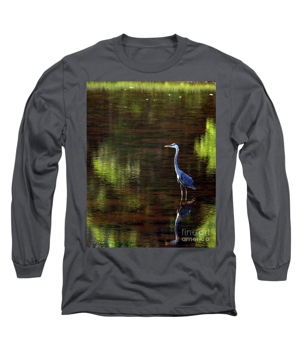 Reflection Long Sleeve T-Shirt featuring the digital art Reflection by Dianne Morgado