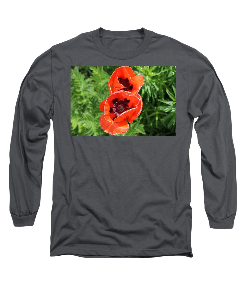 Remembrance Poppy Long Sleeve T-Shirt featuring the photograph Remember Red 1 by Ron Monsour