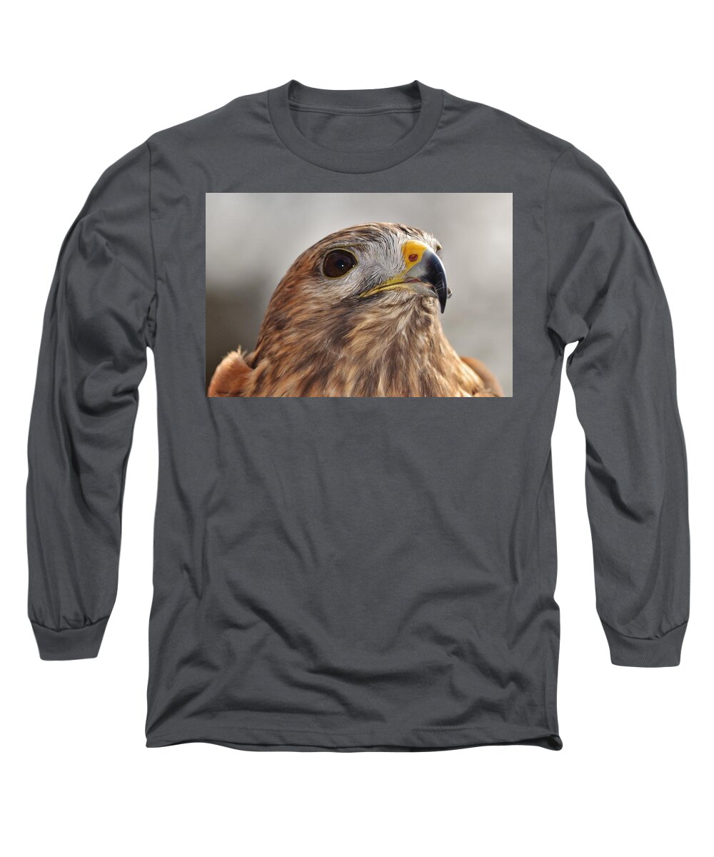Bird Long Sleeve T-Shirt featuring the photograph Rescued Hawk by Eileen Brymer