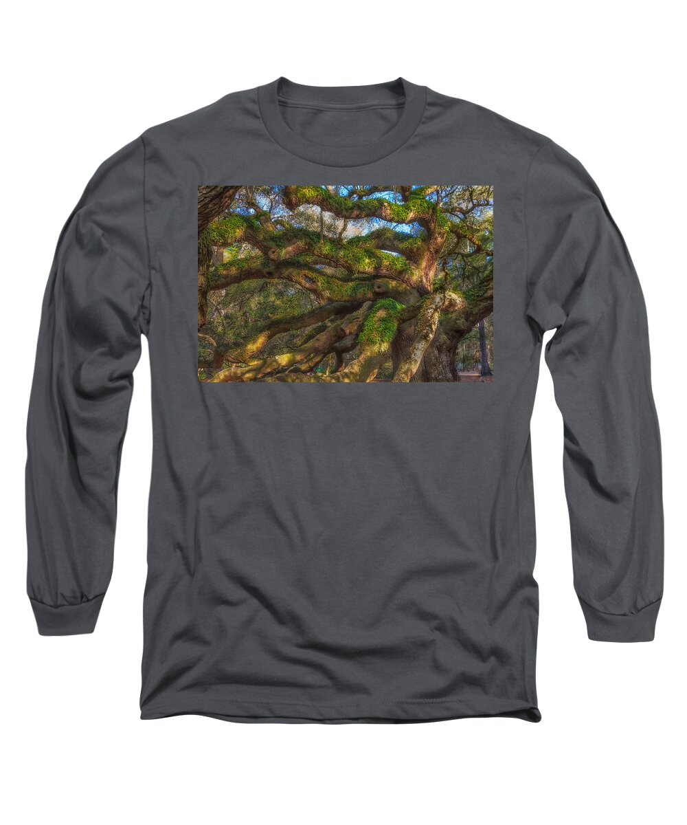 Tree Long Sleeve T-Shirt featuring the photograph Resurrection Fern dons Angel Oak by Patricia Schaefer