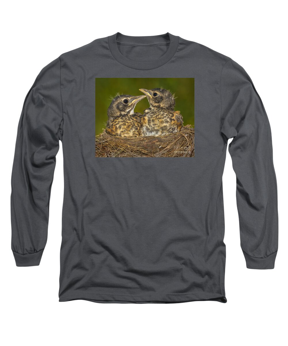 Bird Long Sleeve T-Shirt featuring the photograph Robins Growing Out of Nest by Jerry Fornarotto