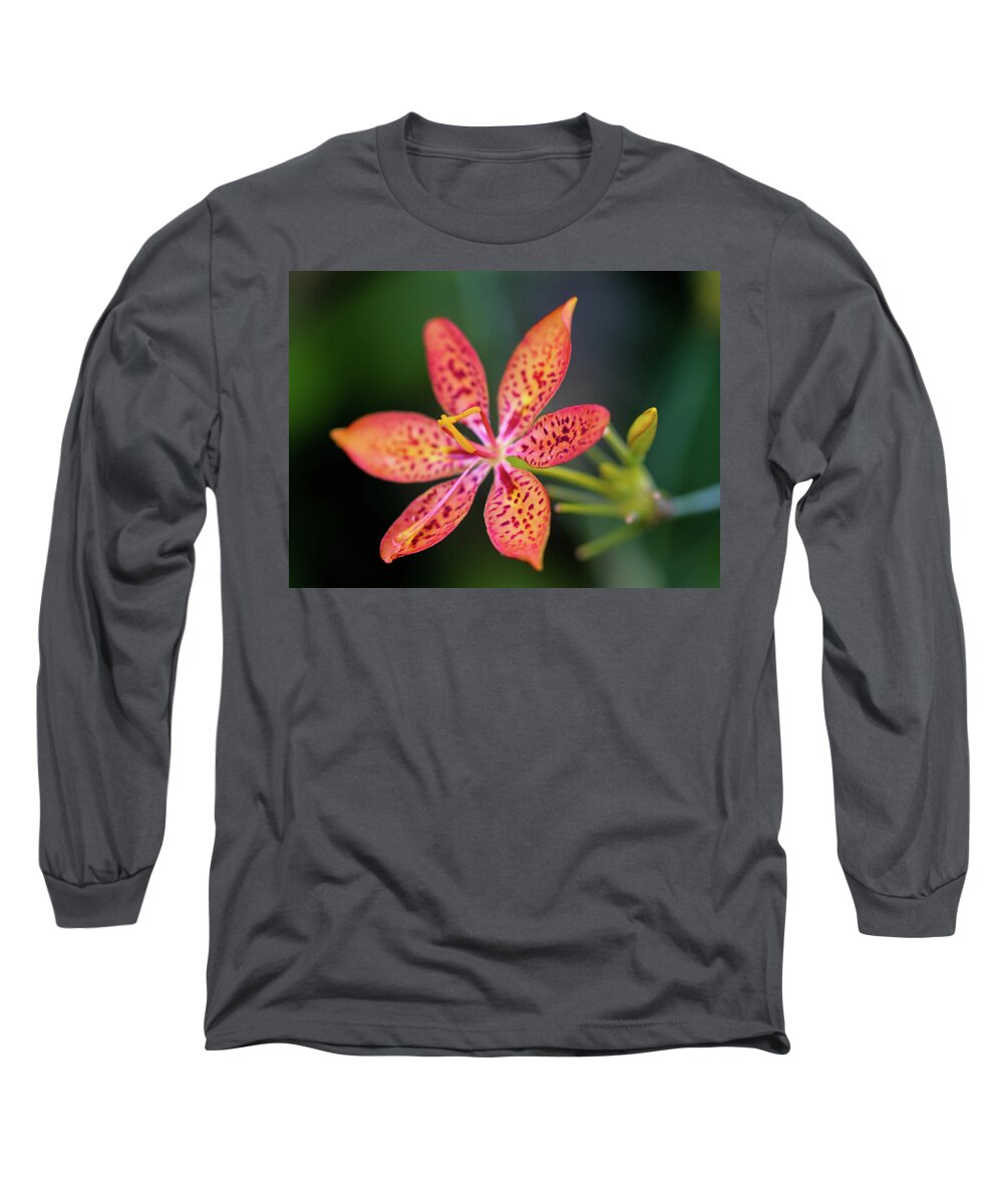 Flower Long Sleeve T-Shirt featuring the photograph Room to Grow by Mary Anne Delgado