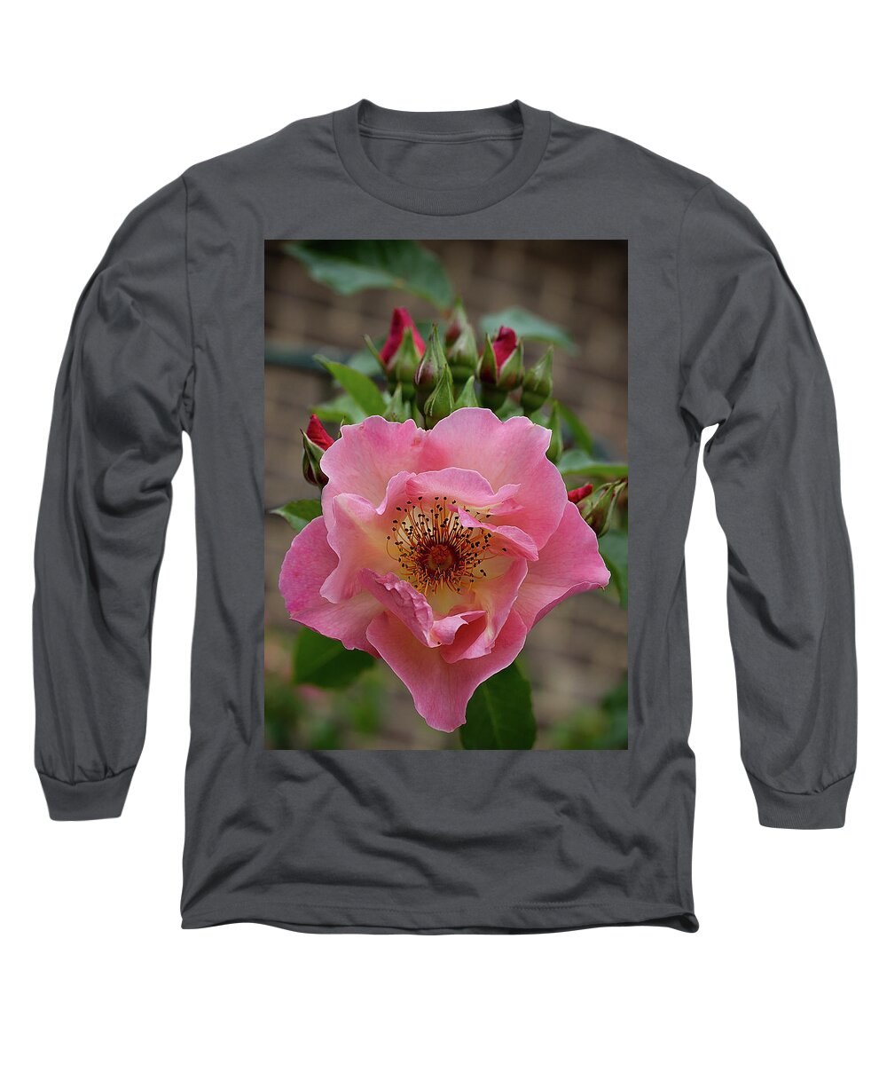 Floral Long Sleeve T-Shirt featuring the photograph Rose and buds by Shirley Mitchell