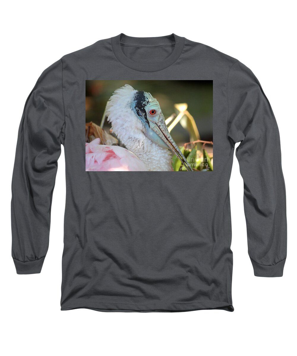 Spoonbill Long Sleeve T-Shirt featuring the photograph Roseate Spoonbill Profile by Carol Groenen