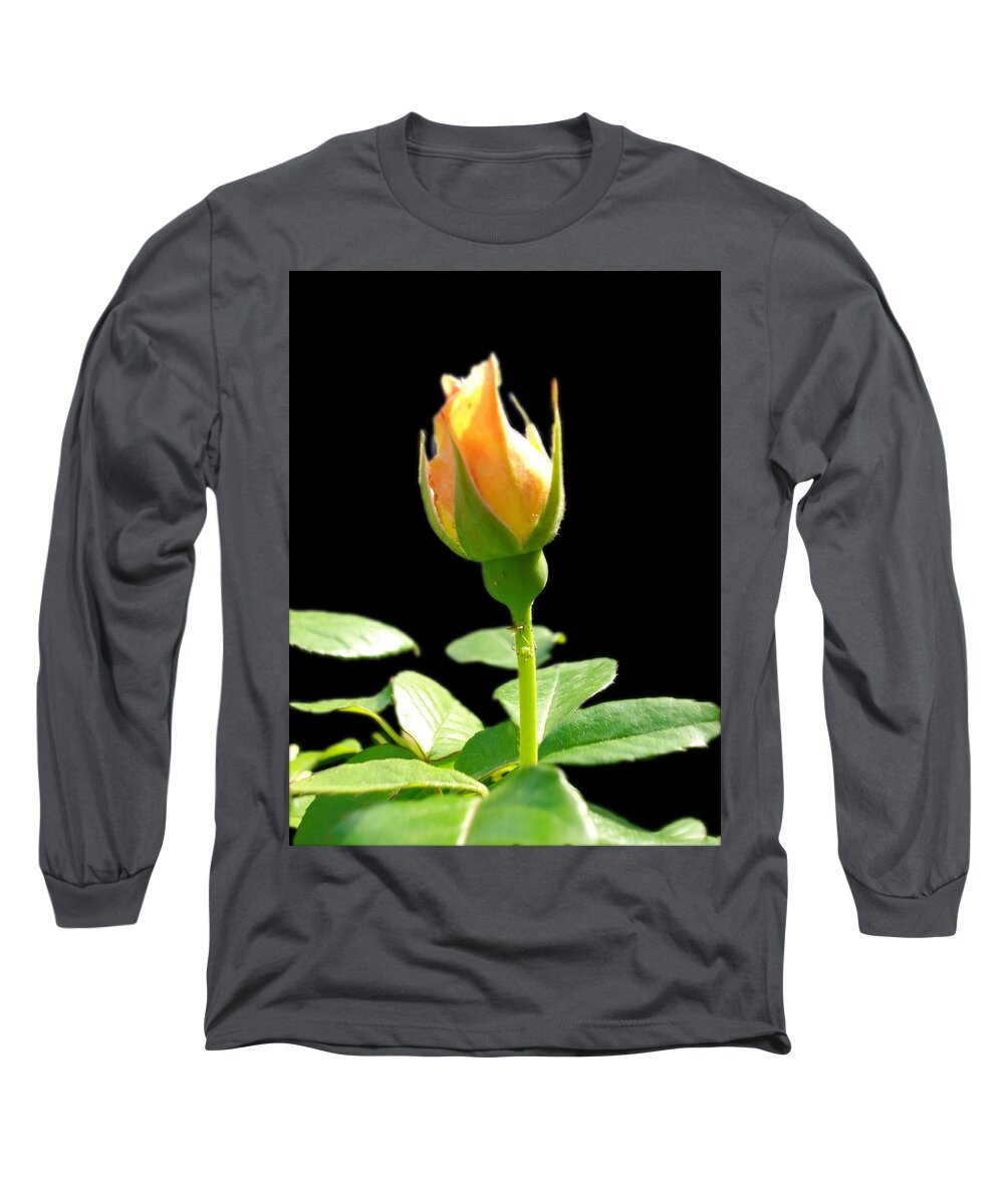 Roses Long Sleeve T-Shirt featuring the photograph Rosebud by Leslie Manley