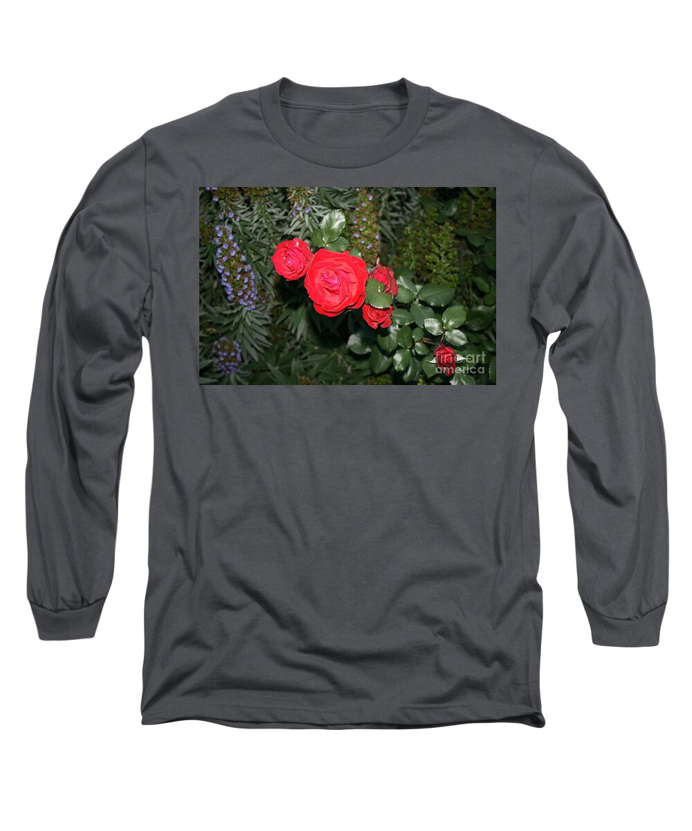 Rose Long Sleeve T-Shirt featuring the photograph Roses Among by Cynthia Marcopulos