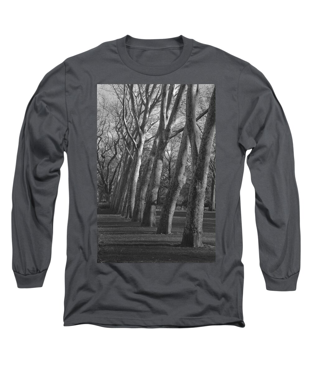 Trees Long Sleeve T-Shirt featuring the photograph Row Trees by Henri Irizarri