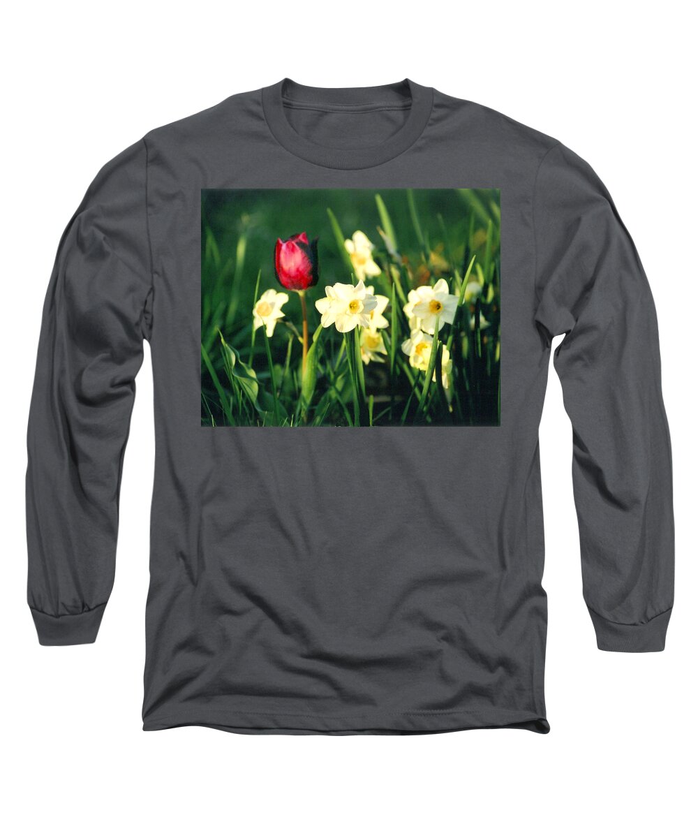 Tulips Long Sleeve T-Shirt featuring the photograph Royal Spring by Steve Karol