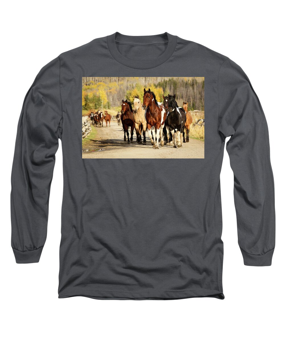 Round Up Long Sleeve T-Shirt featuring the photograph Run Out by Sharon Jones