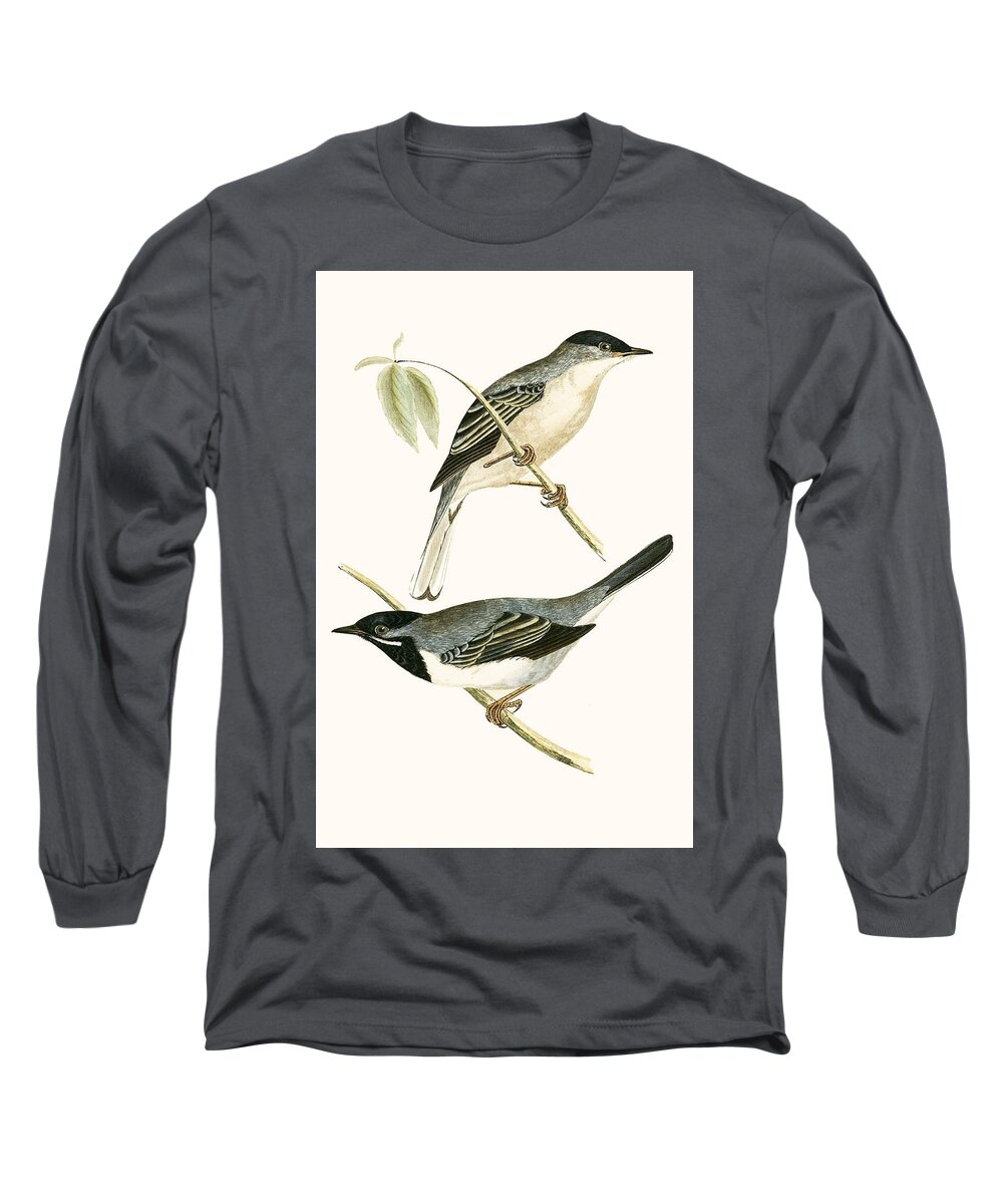 Warbler Long Sleeve T-Shirt featuring the painting Ruppell's Warbler by English School