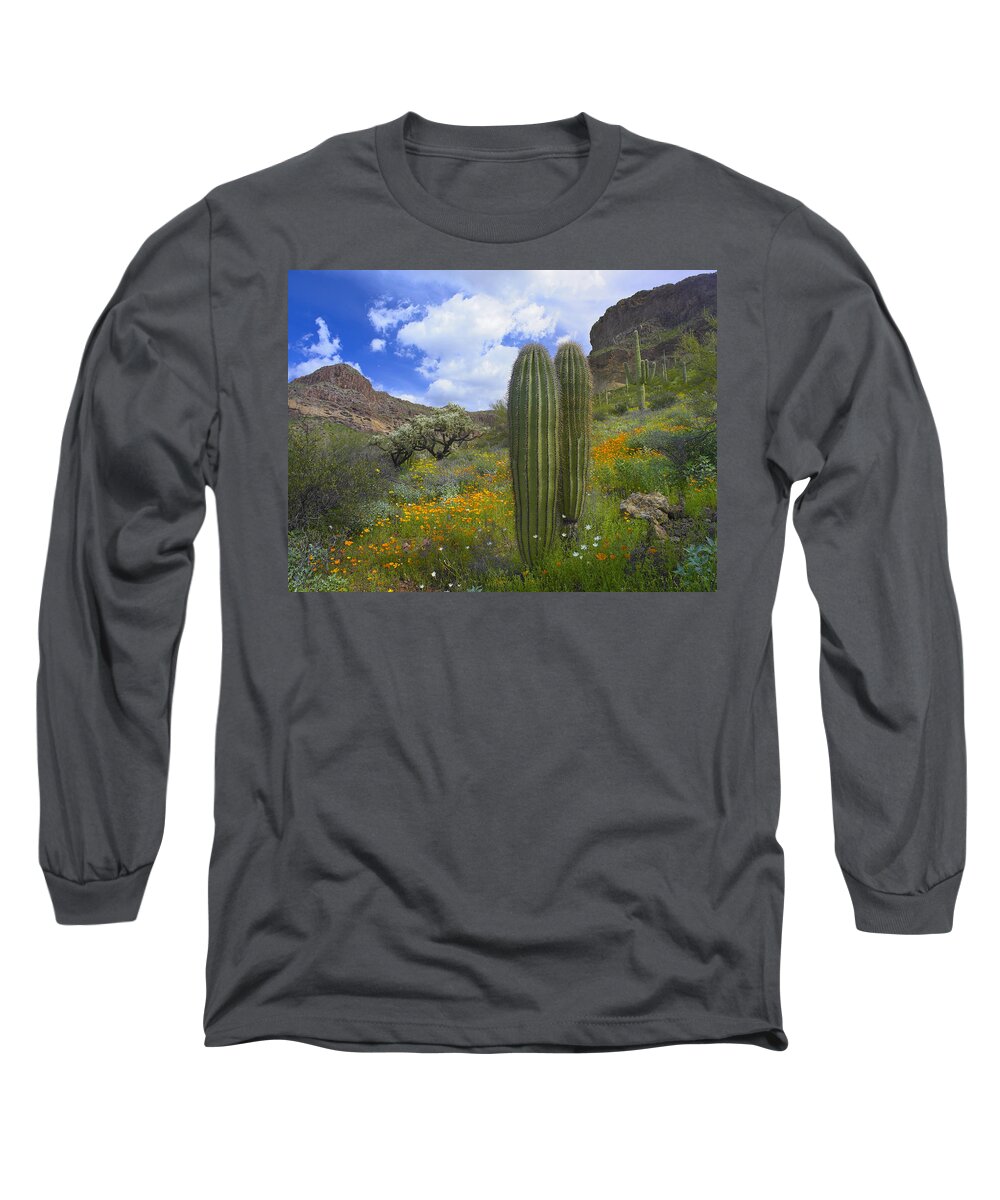 00175595 Long Sleeve T-Shirt featuring the photograph Saguaro Amid Flowering Lupine by Tim Fitzharris