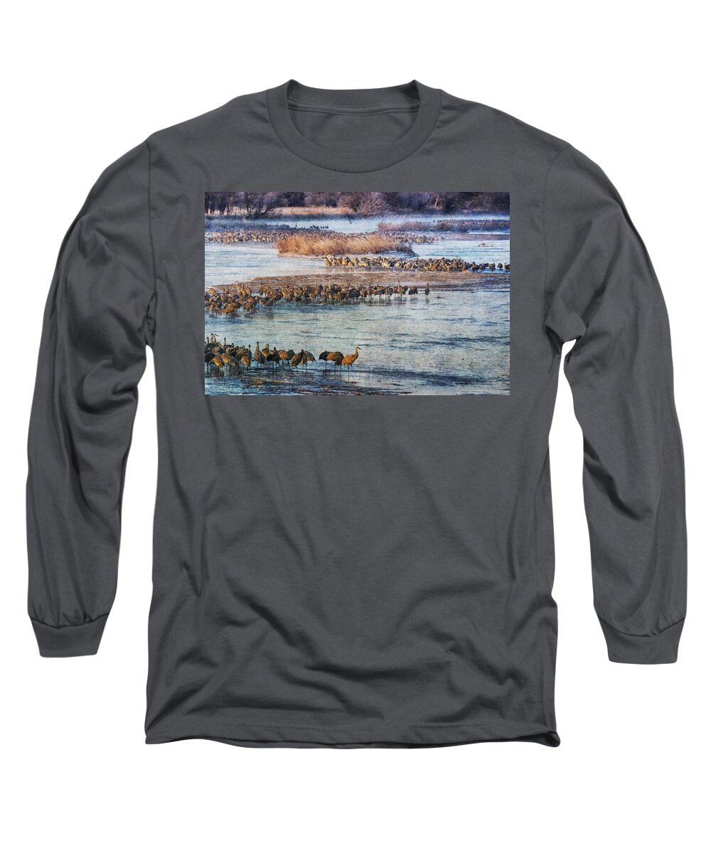 Sandhill Crane Long Sleeve T-Shirt featuring the photograph Sandhill Crane Platte River - Textured by Kathy Adams Clark