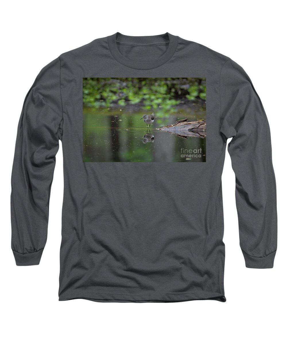 Sandpiper Long Sleeve T-Shirt featuring the photograph Sandpiper in the Smokies by Douglas Stucky