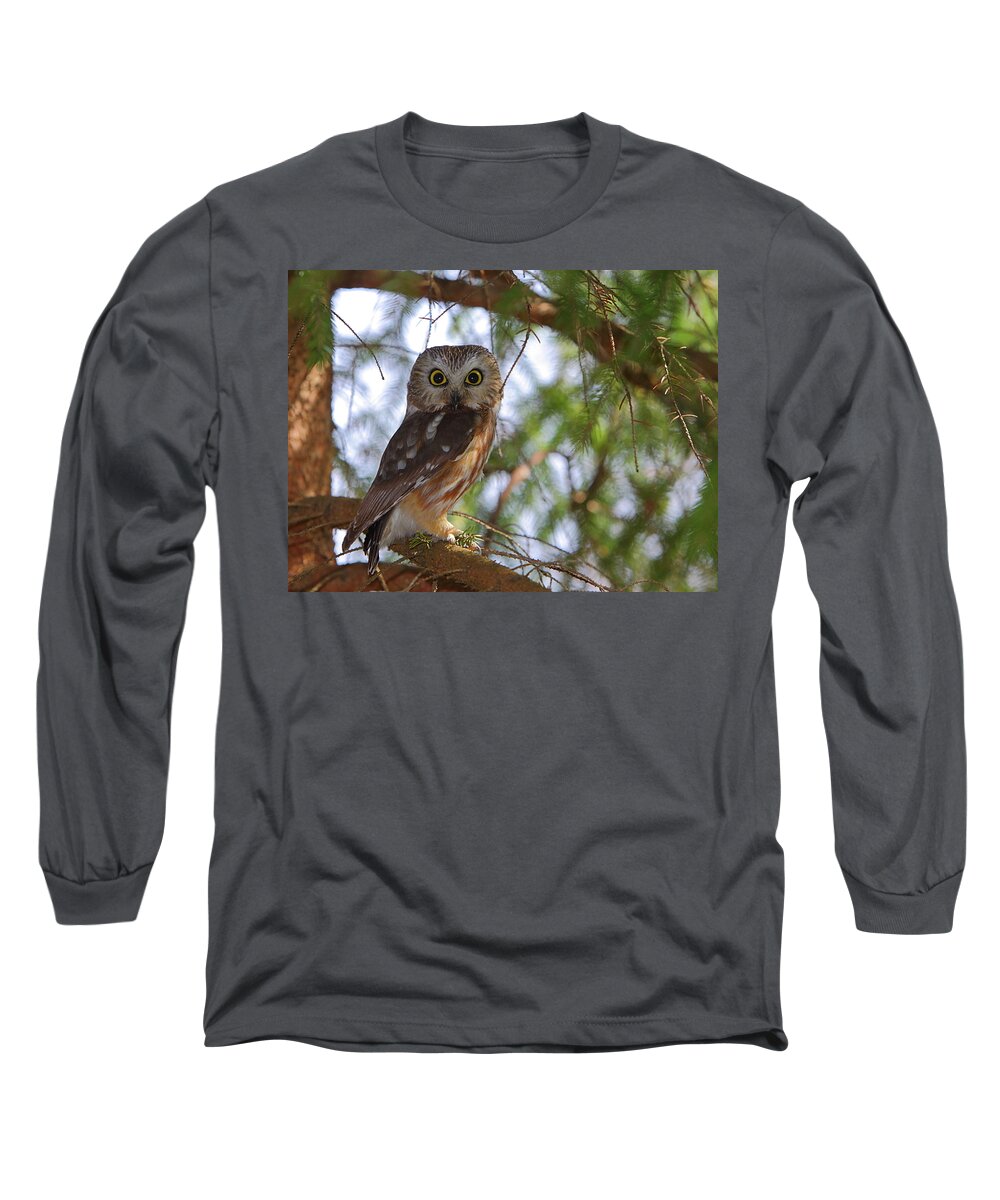 Owl Long Sleeve T-Shirt featuring the photograph Saw-whet Owl by Bruce J Robinson