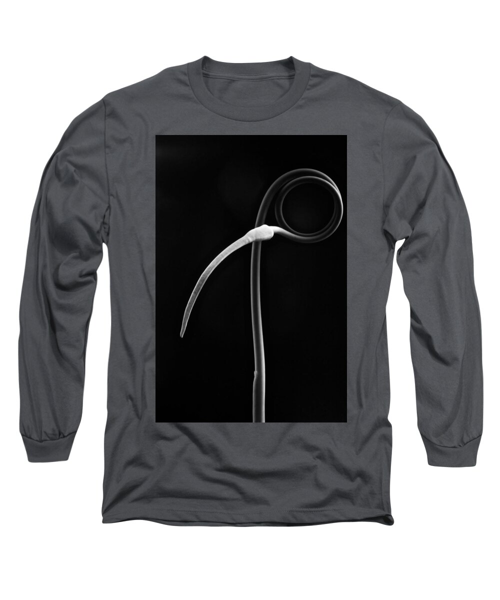 Flowers Long Sleeve T-Shirt featuring the photograph Scapes 1 by Thomas Pipia