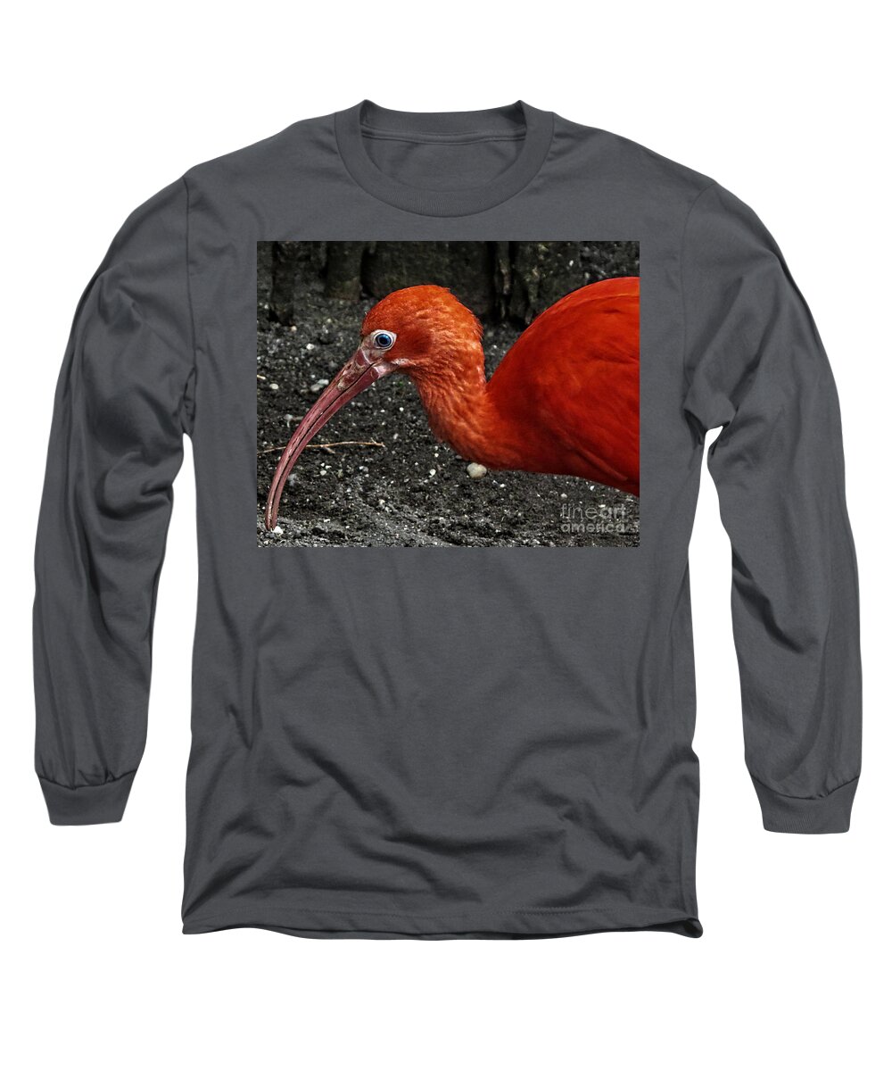 Scarlet Long Sleeve T-Shirt featuring the photograph Scarlet ibis by Dawn Gari